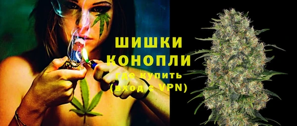 гидропоника Карталы