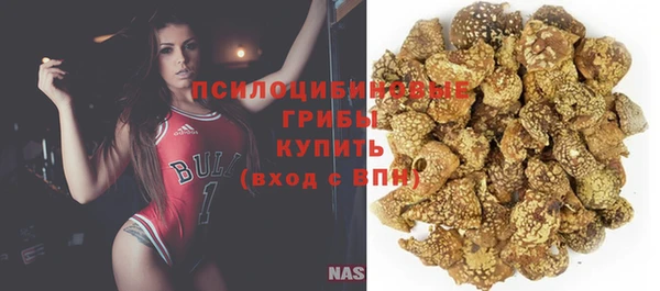 соль ск Карпинск